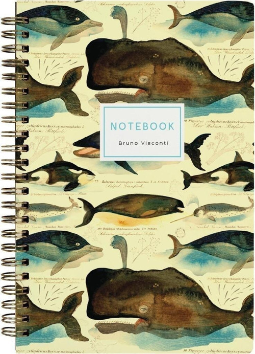 Spiralli Defter, ?5, "whales", 120 Sayfa, Noktalı