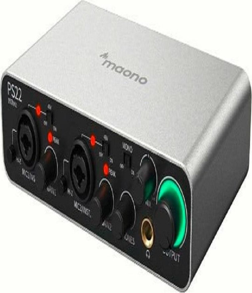 PS22 ProStudio 2x2 USB Ses Kartı Gri