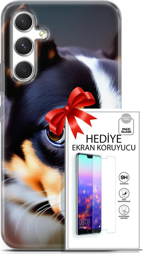 Samsung Galaxy A54 5G Kılıf Orijinal Seri Dogs 11 İsviçre Bernese 4K Baskılı Kılıf + Ekran Koruyucu