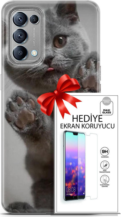 Oppo Reno 5 Kılıf Orijinal Seri Scotish-British 10 Yavru Scottish Full Hd Kılıf + Ekran Koruyucu