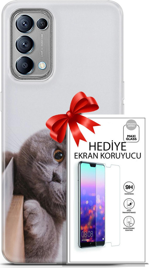 Oppo Reno 5 Kılıf Orijinal Seri Scotish-British 06 Duman Koruyucu Kapak Ekran Koruyucu