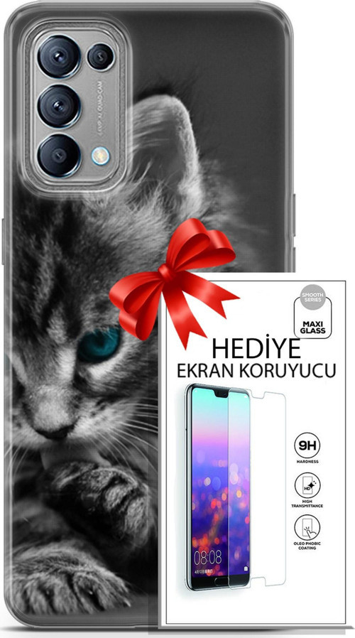 Oppo Reno 5 Kılıf Orijinal Seri Scotish-British 19 Mavi Gözlü Ragdoll Tam Koruma Kılıf + Ekran Koruyucu
