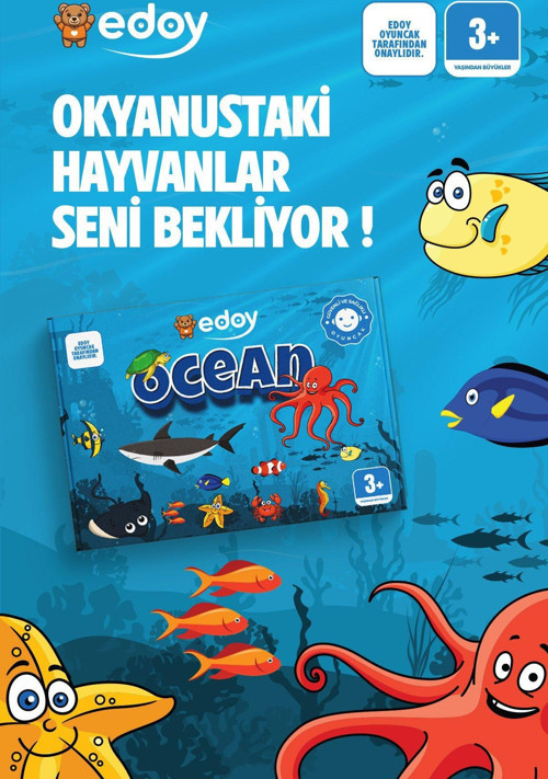 Ocean Deniz Hayvanları Keşfi 16 Küp 48 Kart İle Hayvanları Bul, Eğlenceye Katıl(Zilsiz)