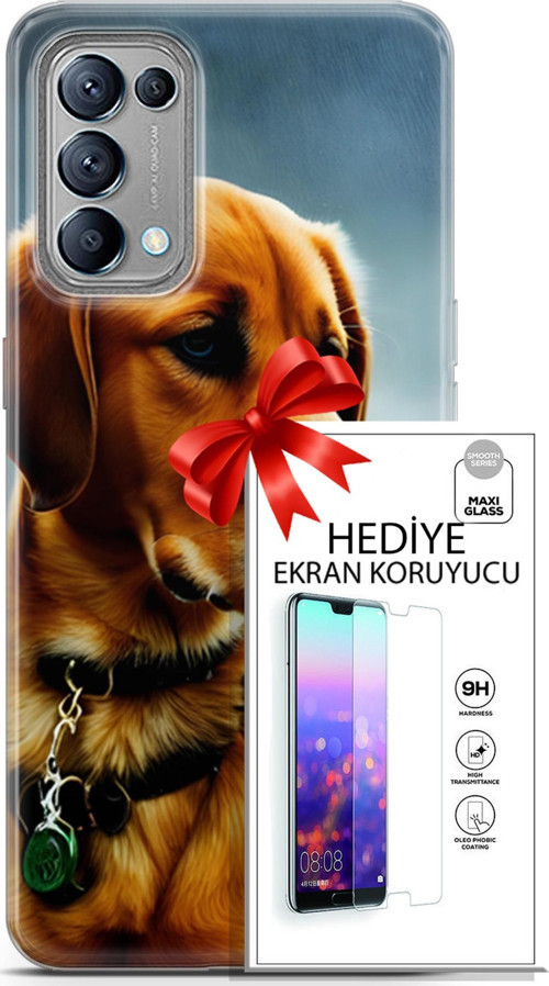 Oppo Reno 5 Kılıf Orijinal Seri Dogs 04 Labrador Silikon Kılıf + Ekran Koruyucu Full Korumaketi