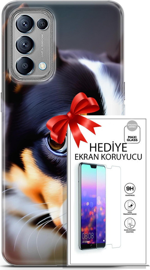 Oppo Reno 5 Kılıf Orijinal Seri Dogs 11 İsviçre Bernese 4K Baskılı Kılıf + Ekran Koruyucu Full Koruma