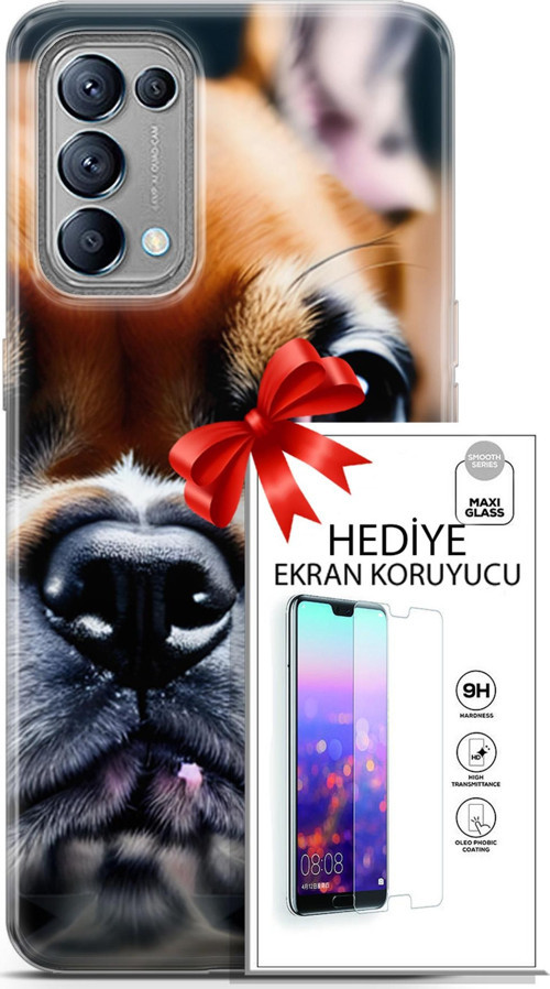 Oppo Reno 5 Kılıf Orijinal Seri Dogs 10 İngiliz Mastiff Full Hd Kılıf + Ekran Koruyucu
