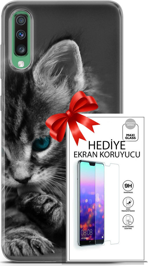 Samsung Galaxy A50 Kılıf Orijinal Seri Scotish-British 19 Mavi Gözlü Ragdoll Tam Koruma Kılıf + Ekran Koruyucu