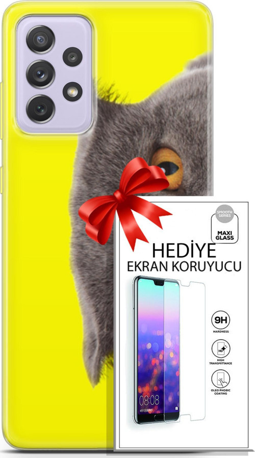 Samsung Galaxy A52 Kılıf Orijinal Seri Scotish-British 01 Scottish Fold Telefon Kılıfı + Ekran Koruyucu