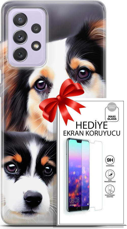 Samsung Galaxy A52 Kılıf Orijinal Seri Dogs 22 Bernese Dağ Köpeği Kap + Ekran Koruyucu