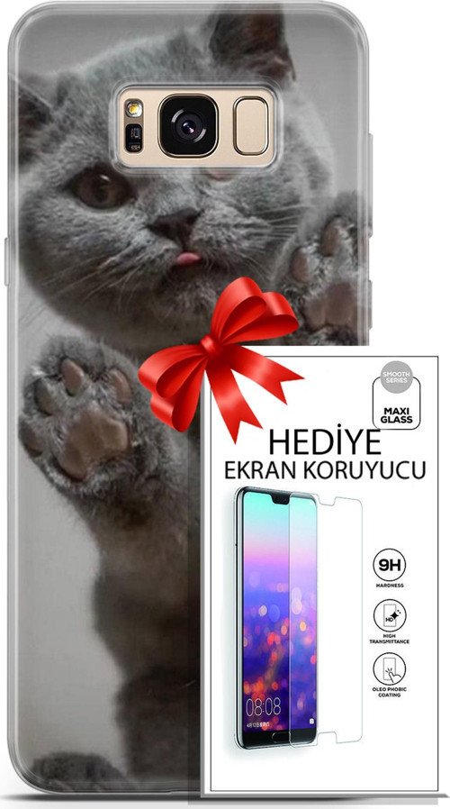 Samsung Galaxy S8 Kılıf Orijinal Seri Scotish-British 10 Yavru Scottish Full Hd Kılıf + Ekran Koruyucu