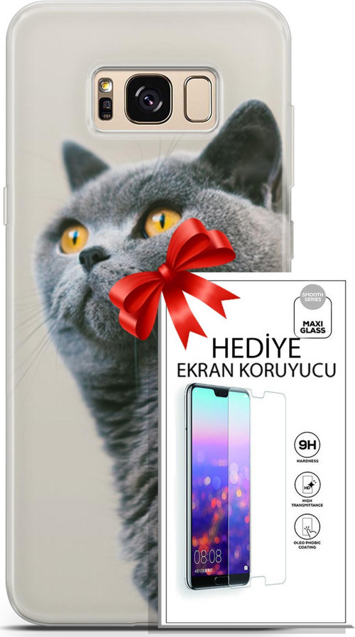 Samsung Galaxy S8 Kılıf Orijinal Seri Scotish-British 05 Gri Scottish Koruma Kılıfı + Ekran Koruyucu