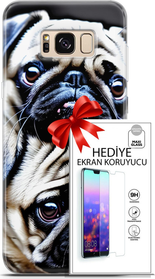 Samsung Galaxy S8 Kılıf Orijinal Seri Dogs 20 İkili Pug Renkli Kılıf Ekran Koruyucu