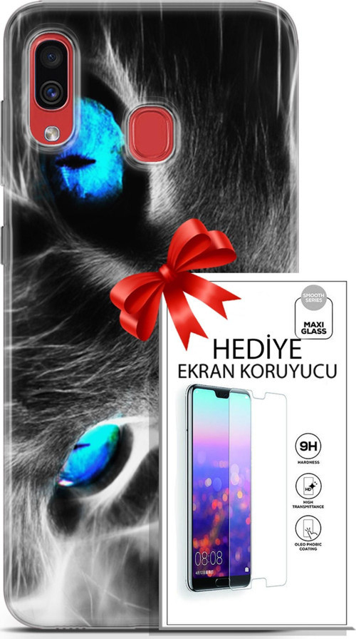 Samsung Galaxy A40 Kılıf Orijinal Seri Scotish-British 26 Amerikan Kedisi Soft Kapak + Ekran Koruyucu