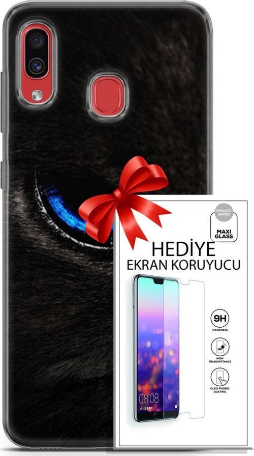 Samsung Galaxy A40 Kılıf Orijinal Seri Scotish-British 25 Maine Coon Soyulmayan Kılıf + Ekran Koruyucu
