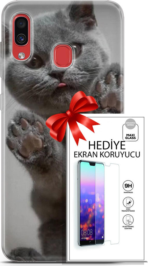 Samsung Galaxy A40 Kılıf Orijinal Seri Scotish-British 10 Yavru Scottish Full Hd Kılıf + Ekran Koruyucu