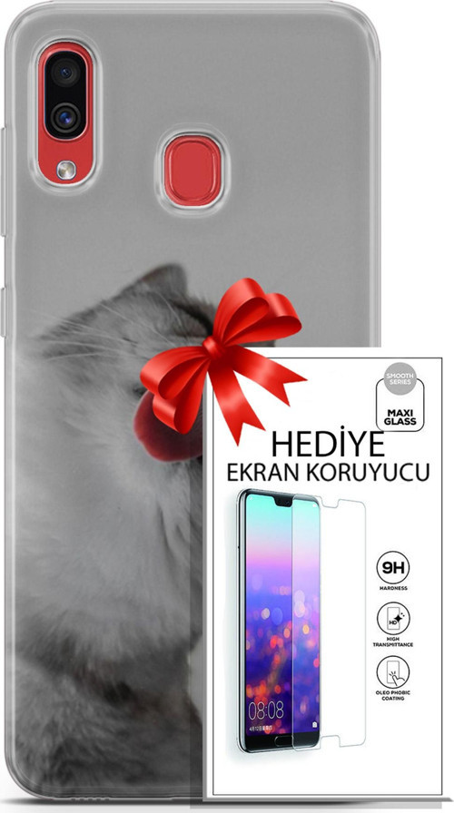 Samsung Galaxy A40 Kılıf Orijinal Seri Scotish-British 07 British Shorthair Desenli Kılıf + Ön Ekran Koruyucu