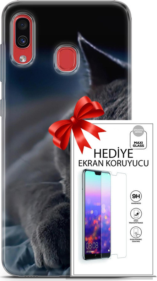 Samsung Galaxy A40 Kılıf Orijinal Seri Scotish-British 20 Yatan Kedi Renkli Kılıf Ekran Koruyucu