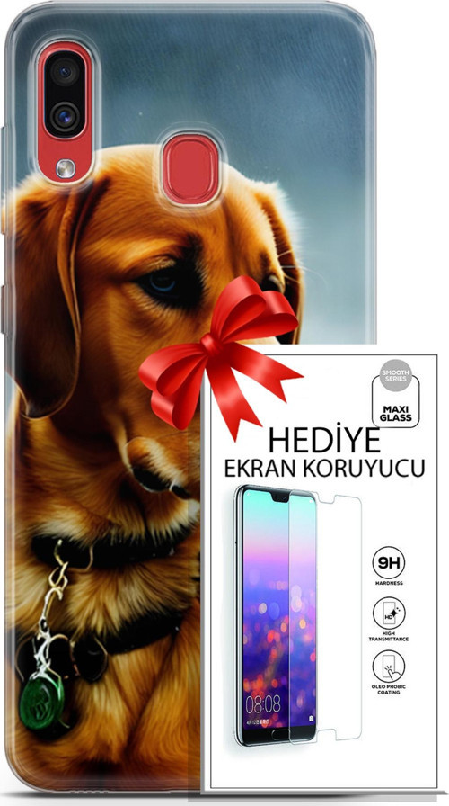 Samsung Galaxy A40 Kılıf Orijinal Seri Dogs 04 Labrador Silikon Kılıf + Ekran Koruyucu Full Koruma