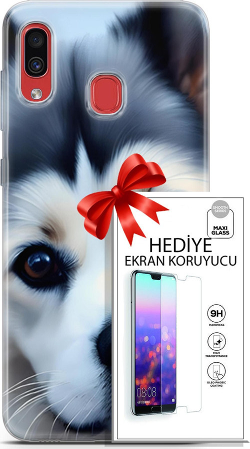 Samsung Galaxy A40 Kılıf Orijinal Seri Dogs 12 Shiba Tasarım Kılıf + Ekran Koruyucu