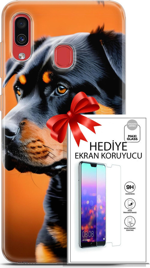 Samsung Galaxy A40 Kılıf Orijinal Seri Dogs 23 Rottweiler Telefon Kabı Ve Ekran Koruyucu