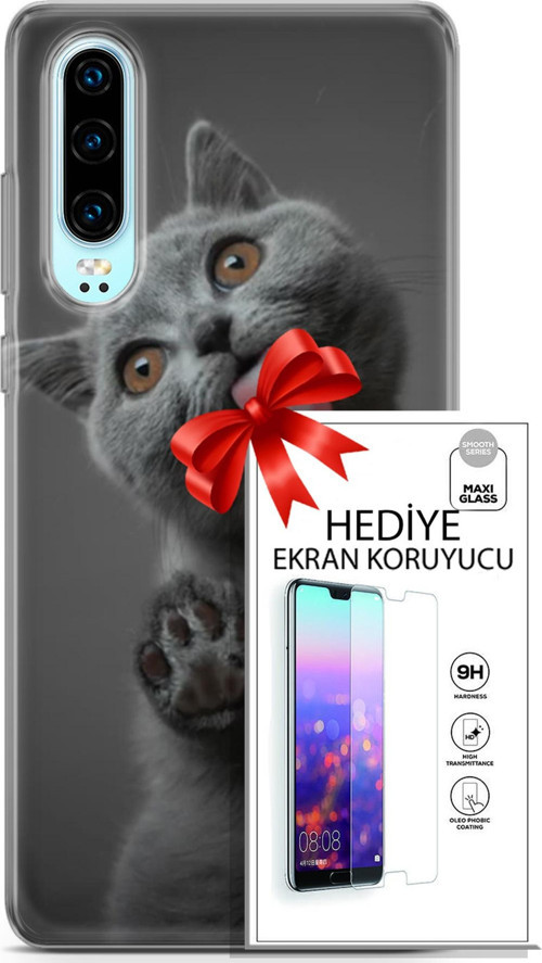 Huawei P30 Kılıf Orijinal Seri Scotish-British 09 Yavru Kedi Uv Kılıf Ve Ekran Koruyucu