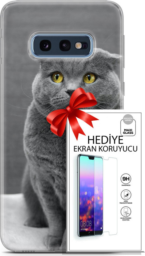 Samsung Galaxy S10E Kılıf Orijinal Seri Scotish-British 17 Scottish Duman Gri Yumuşak Kılıf + Ekran Koruyucu