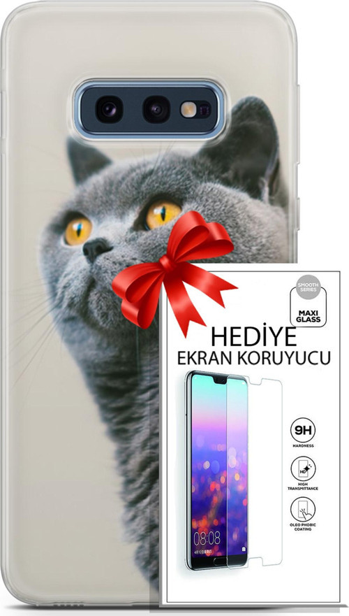 Samsung Galaxy S10E Kılıf Orijinal Seri Scotish-British 05 Gri Scottish Koruma Kılıfı + Ekran Koruyucu