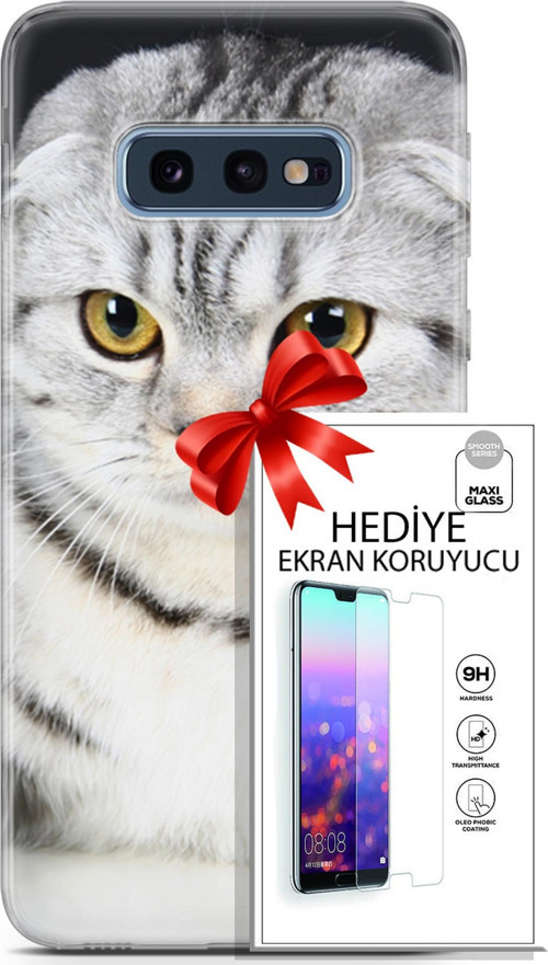 Samsung Galaxy S10E Kılıf Orijinal Seri Scotish-British 18 British Beyaz Parlak Kılıf + Ekran Koruyucu