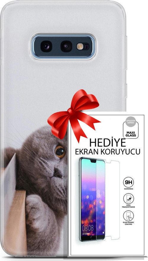 Samsung Galaxy S10E Kılıf Orijinal Seri Scotish-British 06 Duman Koruyucu Kapak Ekran Koruyucu