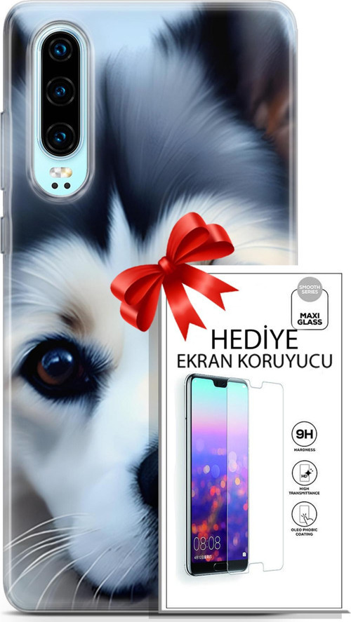 Huawei P30 Kılıf Orijinal Seri Dogs 12 Shiba Tasarım Kılıf + Ekran Koruyucu