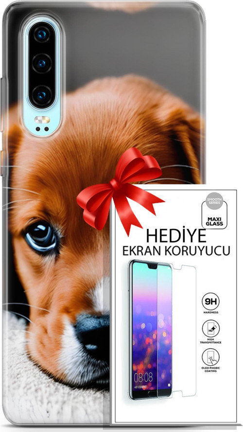 Huawei P30 Kılıf Orijinal Seri Dogs 09 Beagle Uv Kılıf Ve Ekran Koruyucu