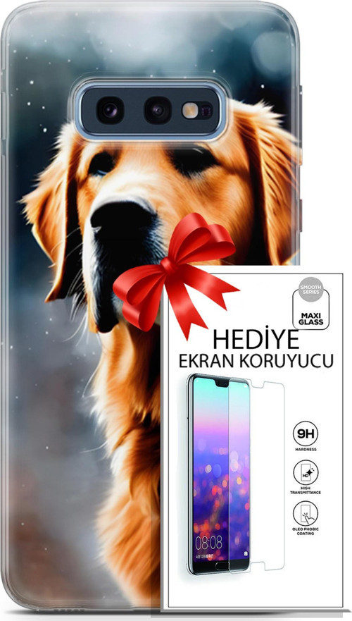 Samsung Galaxy S10E Kılıf Orijinal Seri Dogs 16 Golden Retriever Hediyelik Kılıf Ve Ekran Koruyucu