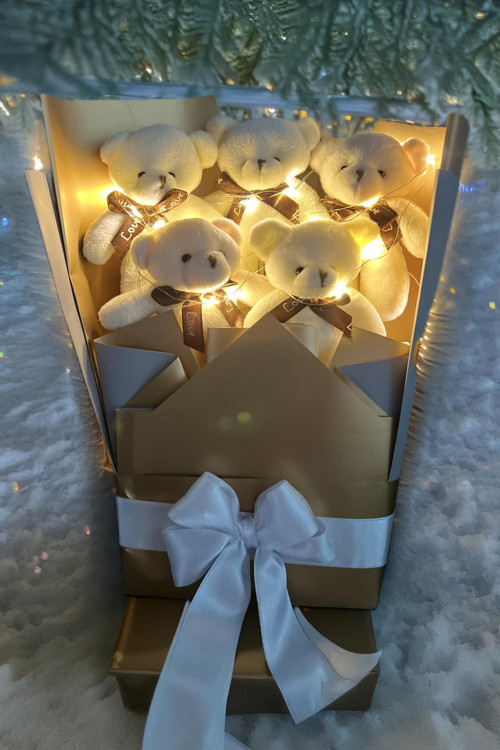 Sevgiliye Özel Peri LED Işıklı Dore-Gümüş Konsept Romantik Peluş Ayıcık Buketi