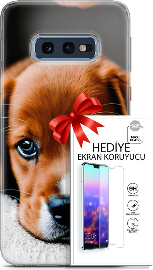 Samsung Galaxy S10E Kılıf Orijinal Seri Dogs 09 Beagle Uv Kılıf Ve Ekran Koruyucu
