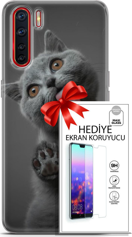 Oppo A91 Kılıf Orijinal Seri Scotish-British 09 Yavru Kedi Uv Kılıf Ve Ekran Koruyucu