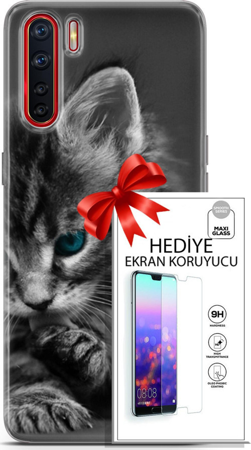 Oppo A91 Kılıf Orijinal Seri Scotish-British 19 Mavi Gözlü Ragdoll Tam Koruma Kılıf + Ekran Koruyucu