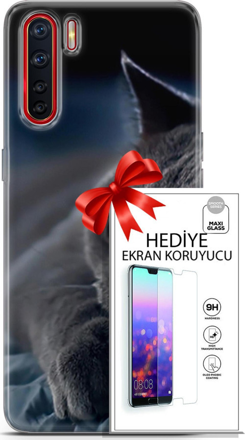 Oppo A91 Kılıf Orijinal Seri Scotish-British 20 Yatan Kedi Renkli Kılıf Ekran Koruyucu