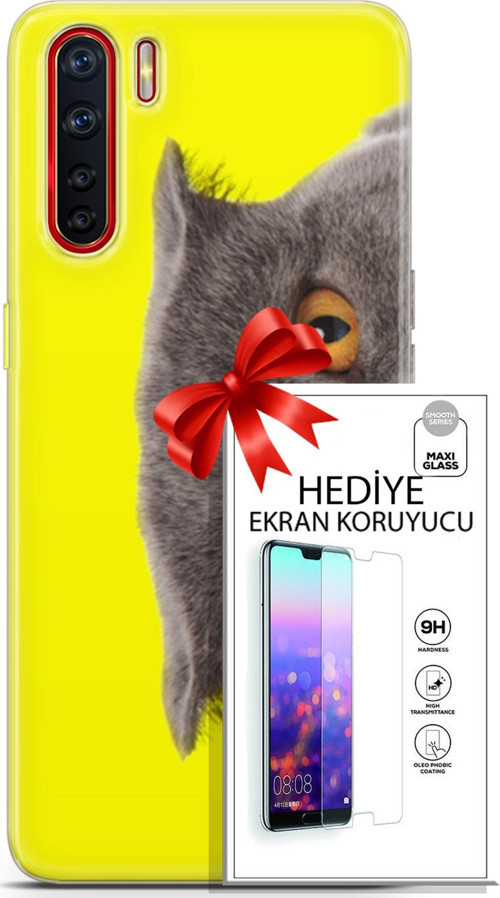 Oppo A91 Kılıf Orijinal Seri Scotish-British 01 Scottish Fold Telefon Kılıfı + Ekran Koruyucu