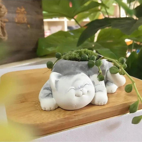 %100 Beton - Kedi Sukulent Saksı Veya Tealight Mumluk Olarak Kullanılır. Çiçek Hariçtir