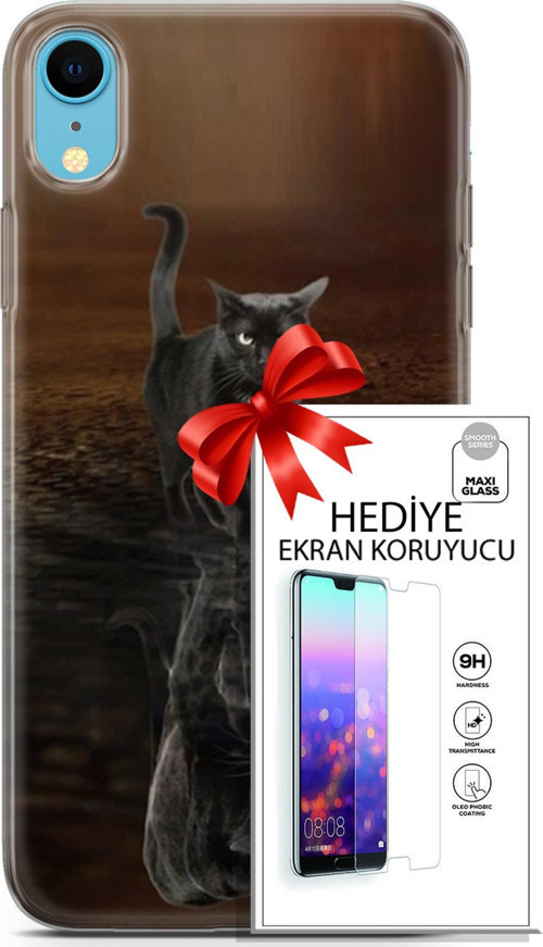Apple İphone Xr Kılıf Orijinal Seri Scotish-British 16 Siyah Rus Kedisi Hediyelik Kılıf Ve Ekran Koruyucu