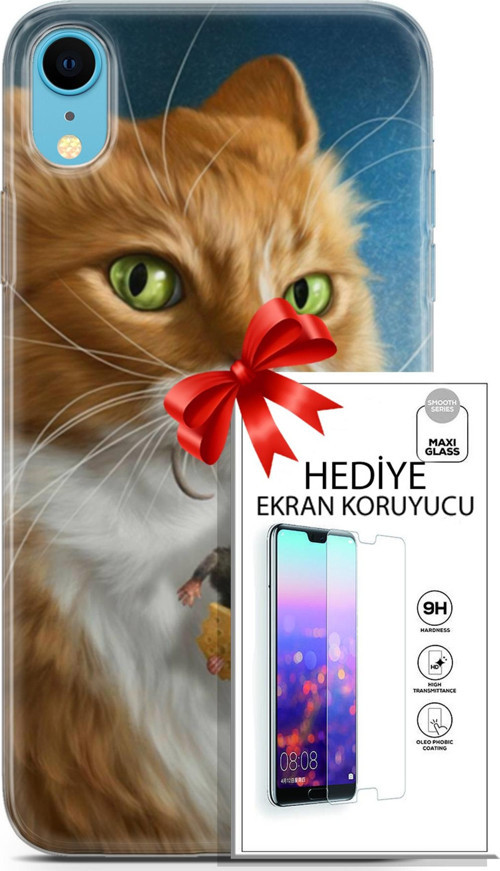 Apple İphone Xr Kılıf Orijinal Seri Scotish-British 14 Sibirya Kedisi Avcı Cover Kılıf + Ön Ekran Koruyucu