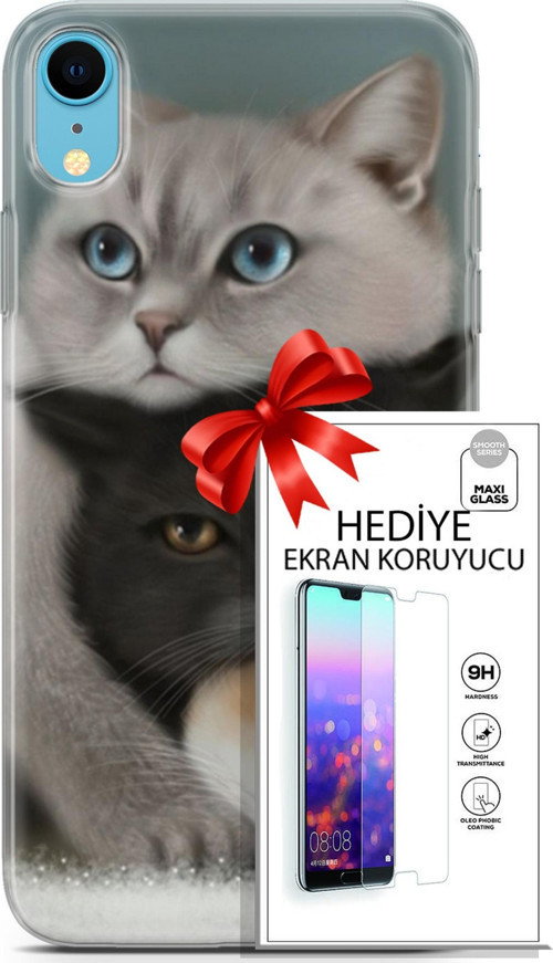 Apple İphone Xr Kılıf Orijinal Seri Scotish-British 13 Beyaz Gri Kahve Kediler Case Kapak Ekran Koruyucu