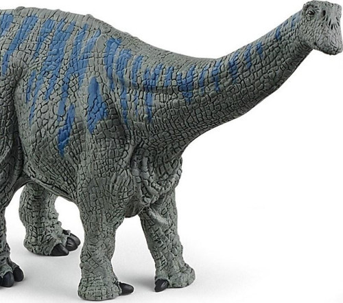Brontozorus 15027