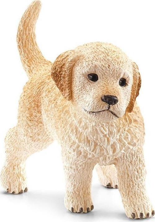Golden Retriever Yavru 16396