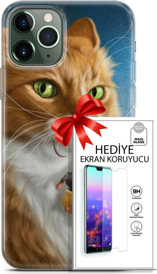 Apple İphone 11 Pro Max Kılıf Orijinal Seri Scotish-British 14 Sibirya Kedisi Avcı Cover Kılıf + Ekran Koruyucu