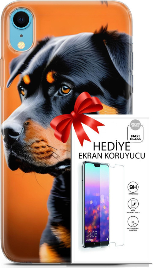 Apple İphone Xr Kılıf Orijinal Seri Dogs 23 Rottweiler Telefon Kabı Ve Ekran Koruyucu