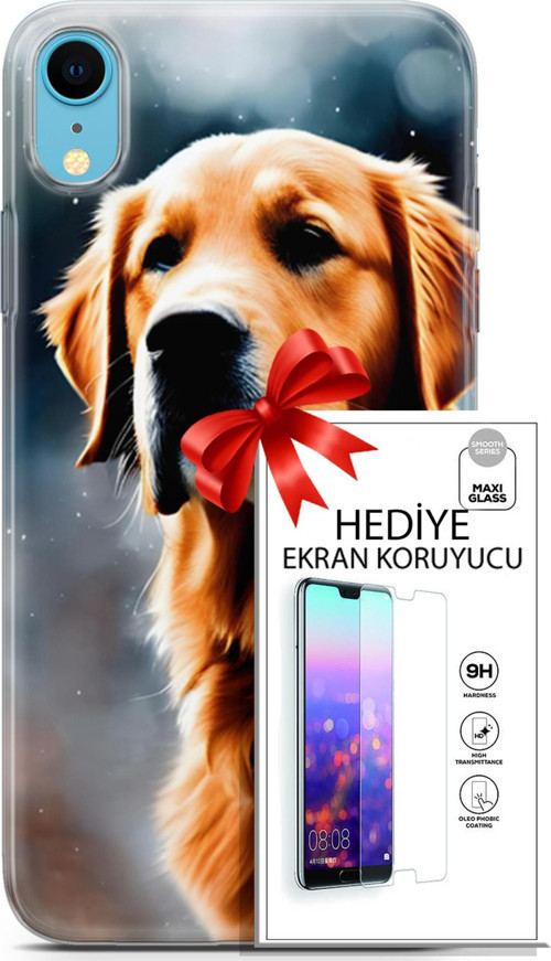 Apple İphone Xr Kılıf Orijinal Seri Dogs 16 Golden Retriever Hediyelik Kılıf Ve Ekran Koruyucu