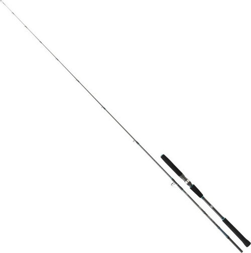 Saltist Jigging II Jig Kamışı 1.88m 60-180g