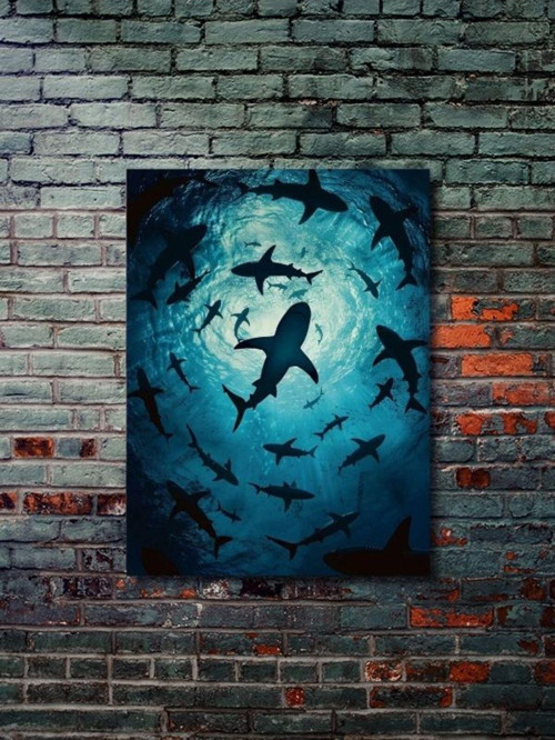 Güçlü Köpekbalığı, Hayvanlar Alemi Posteri, Özel Tasarım Kağıt Poster, Duvar Sanatı