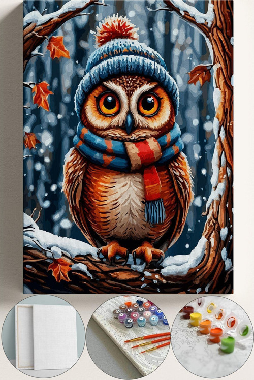 Sayılarla Boyama Çerçeveli Hobi Seti Numaralı Tuval Fırça Boya Kasnaklı 40X50 Cm - Kış Ve Baykuş